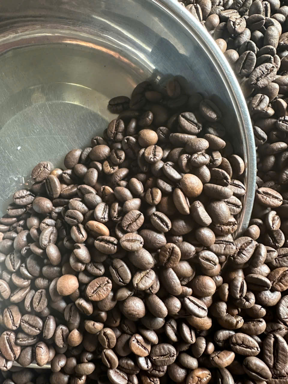c&agrave; ph&ecirc; hạt rang gi&aacute; sỉ