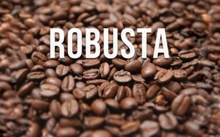3 điều cần hết sức lưu ý khi bảo quản cà phê rang Robusta