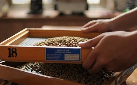 Cách Chọn Mức Độ Rang Cà Phê Rang Xay Phù Hợp Cho Quán Cà Phê