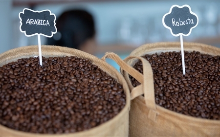 Robusta và Arabica: Đâu Là Loại Cà Phê Rang Xay Phù Hợp Với Bạn