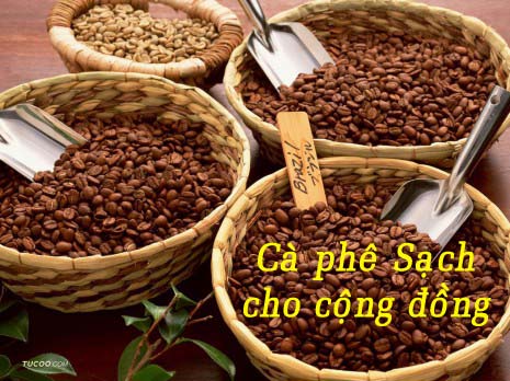 cafe sach