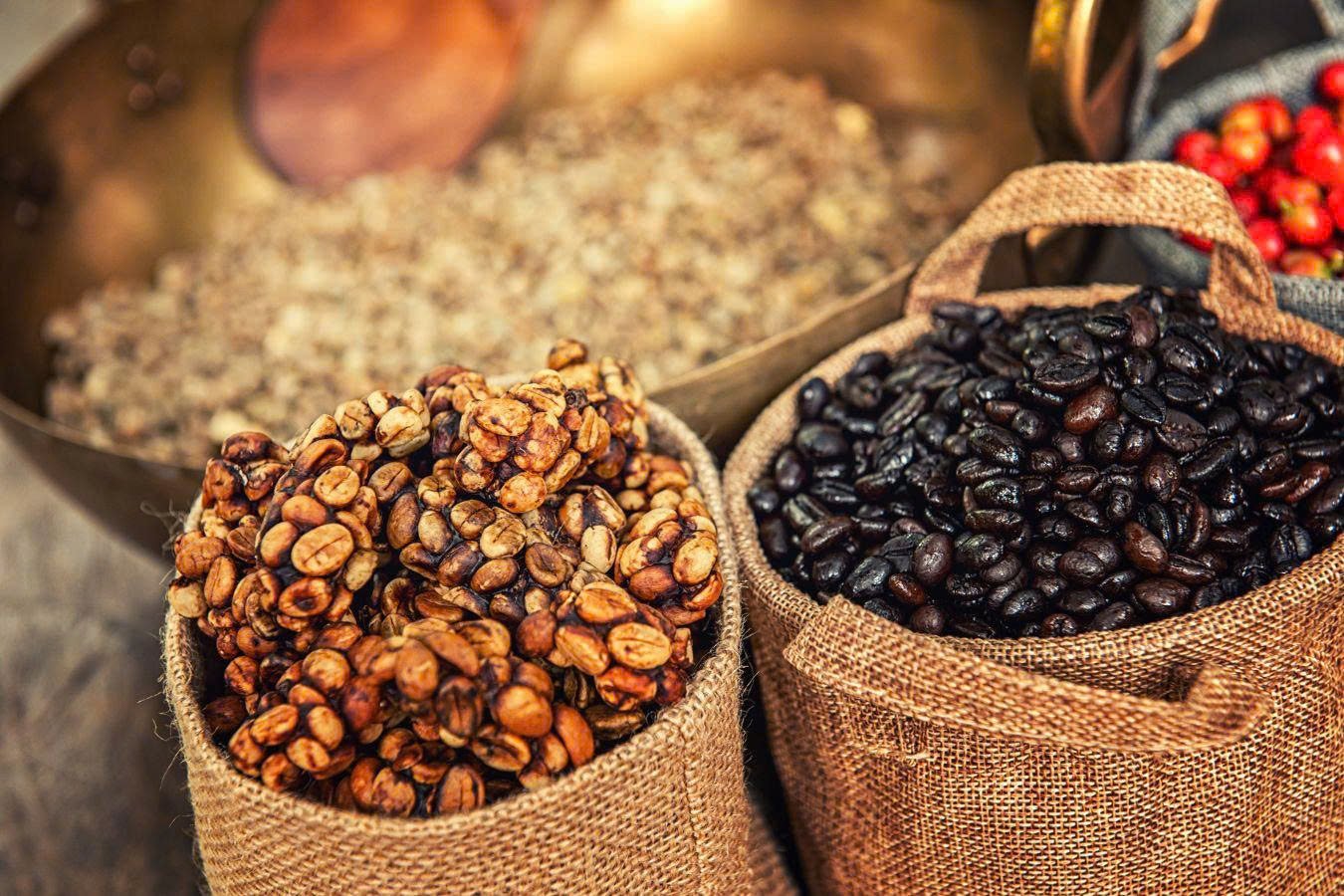 Cà phê Robusta Honey là gì?