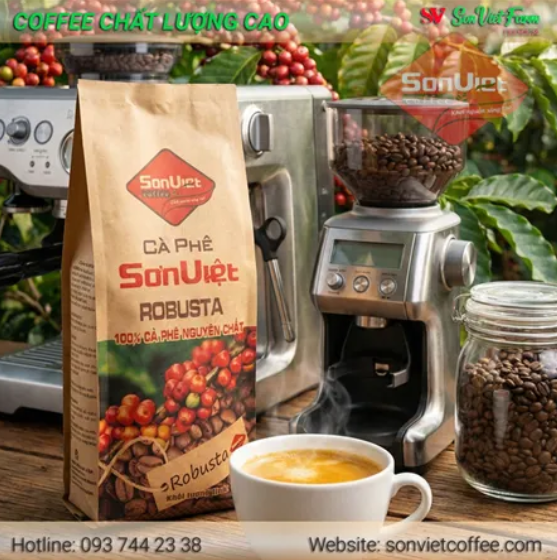 c&agrave; ph&ecirc; hạt robusta pha phin