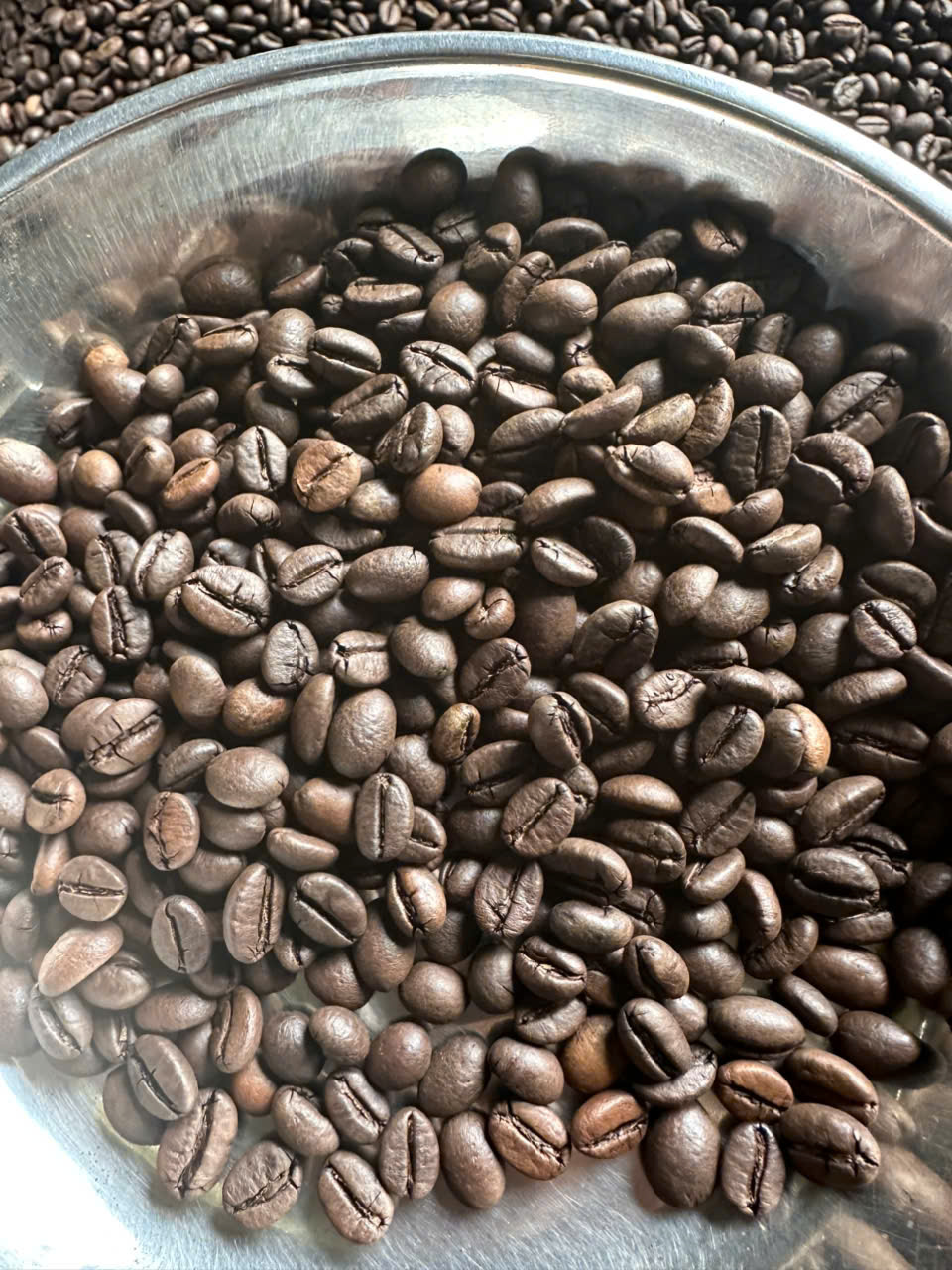 cà phê Robusta thường s18