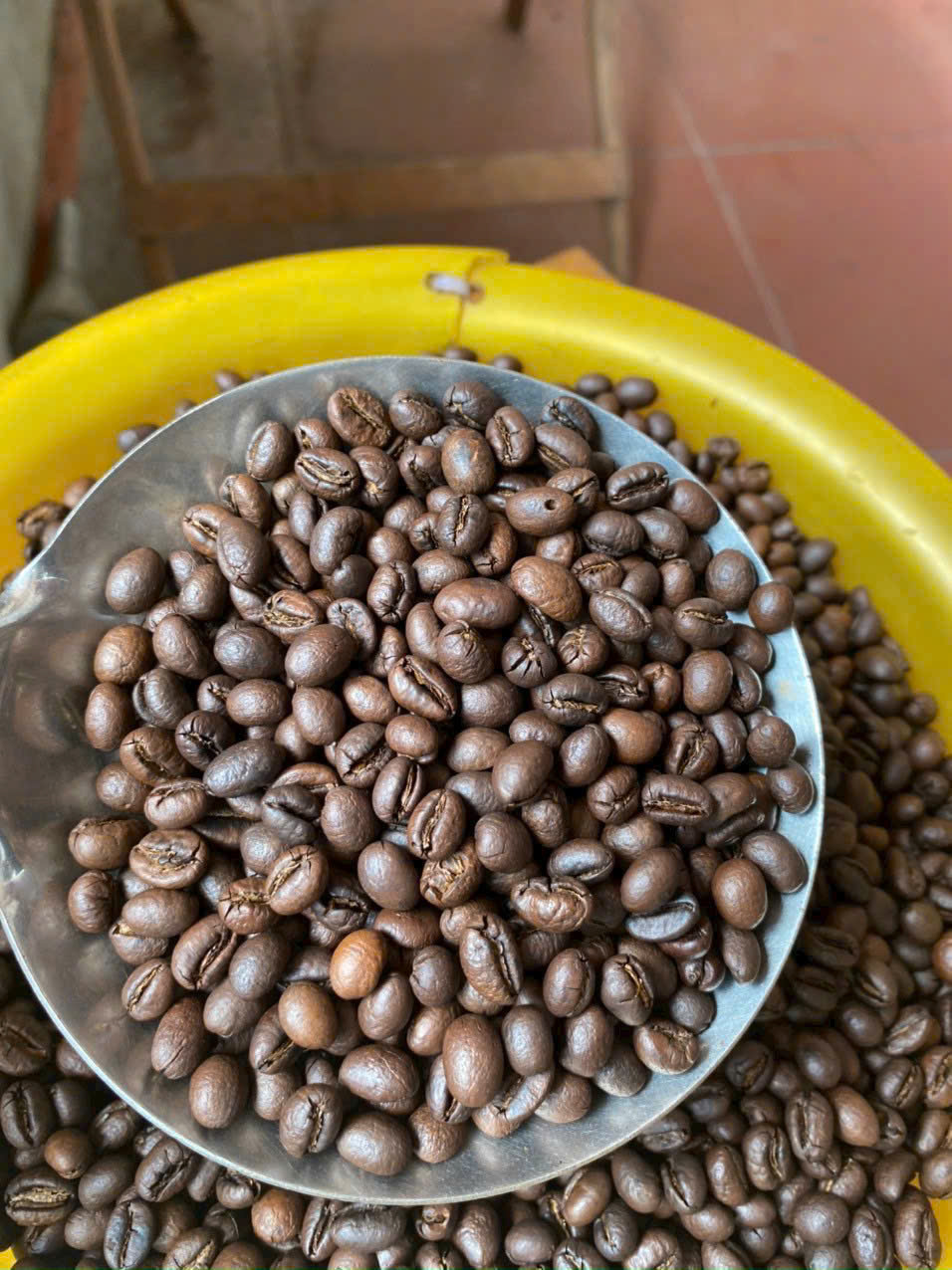 c&agrave; ph&ecirc; robusta sỉ