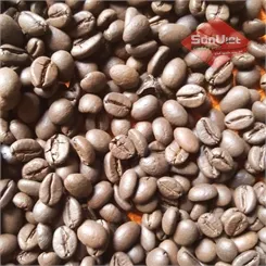 Cà phê robusta s18