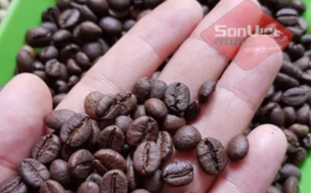 Giá cà phê rang xay tốt nhất thị trường, bảng giá chi tiết tại Sơn Việt