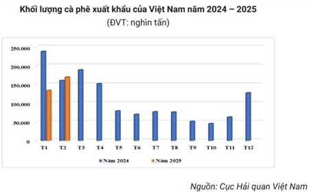 Giá tăng phi mã, xuất khẩu cà phê thắng lớn