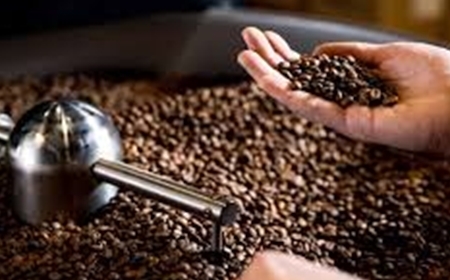 Quy trình sản xuất cà phê bột nguyên chất tại Sơn Việt Coffee – Giữ trọn tinh túy hạt cà phê Việt