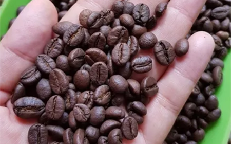 Tại sao nhiều người rất thích cà phê hạt rang xay?